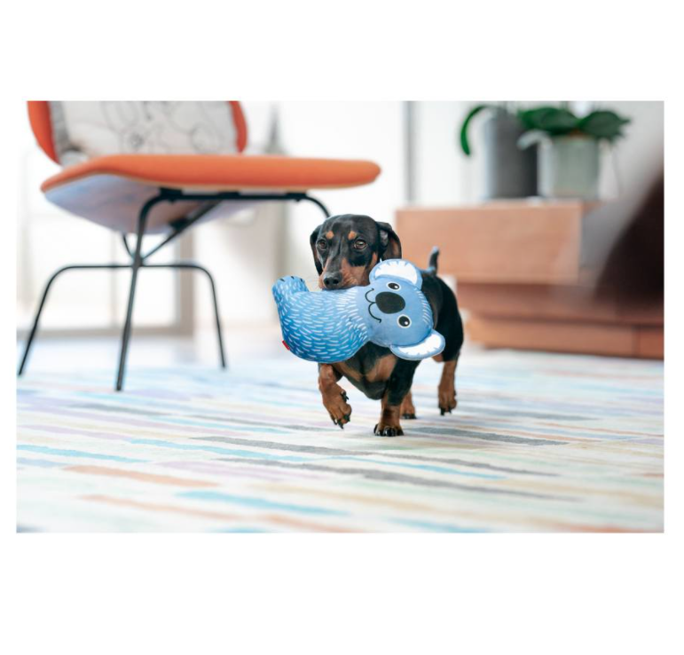 RedDingo-Durables 狗玩具-Koala