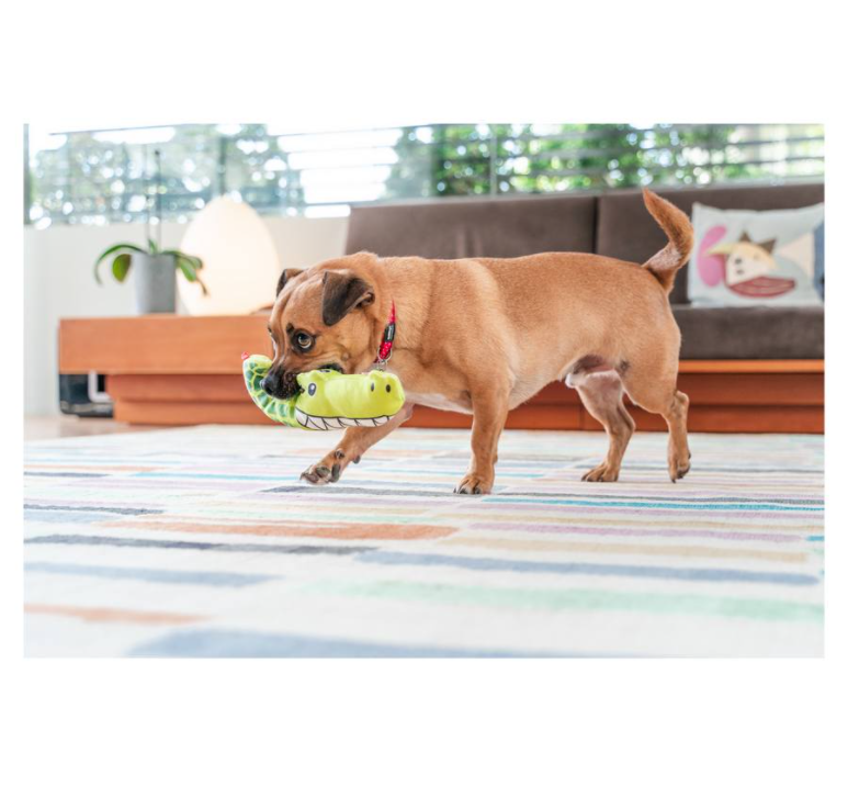 RedDingo-Durables 狗玩具- Crocodie