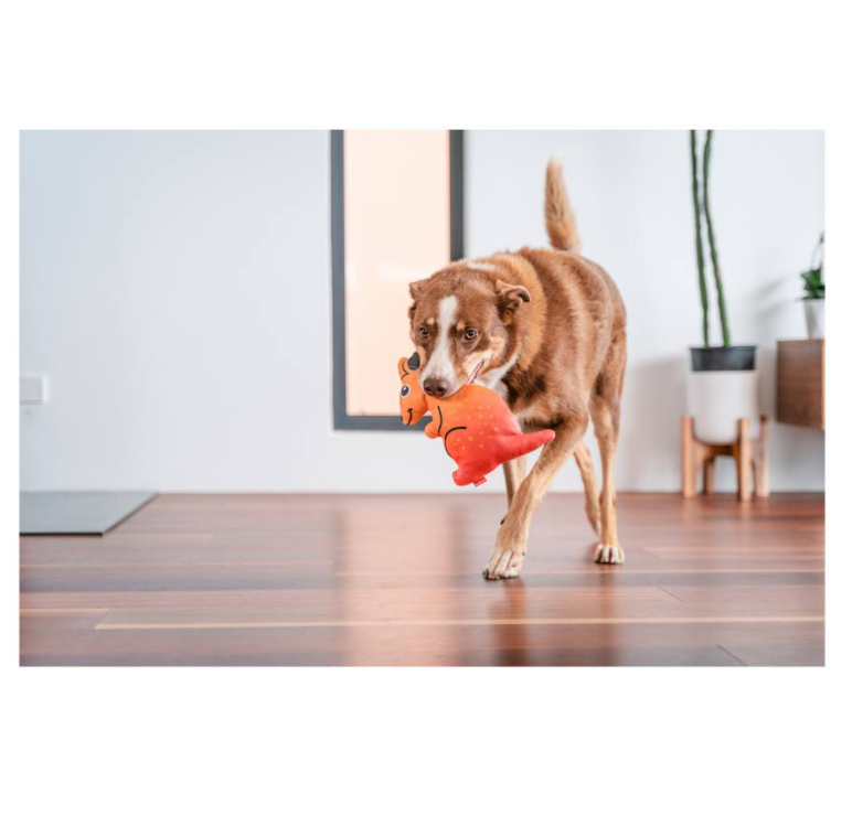 RedDingo-Durables 狗玩具- Kangaroo