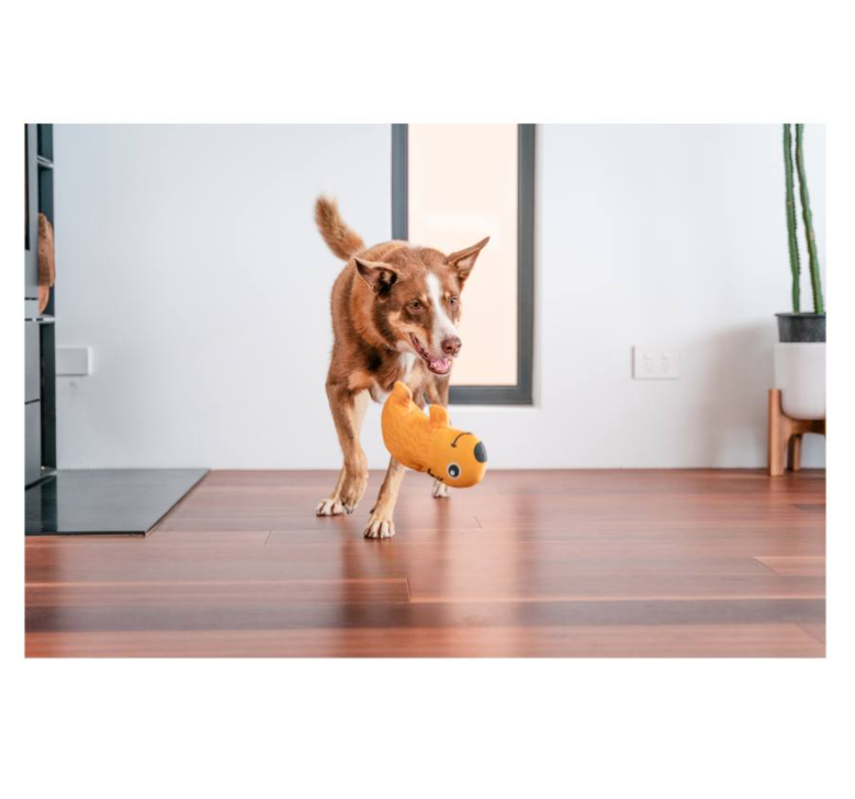 RedDingo-Durables 狗玩具- Wombat