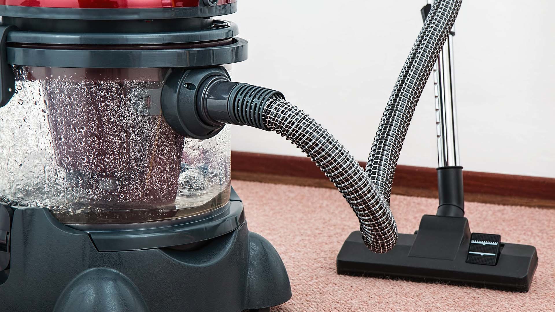 床墊上的灰塵、毛髮皮屑、餅乾碎屑使用吸塵器吸除