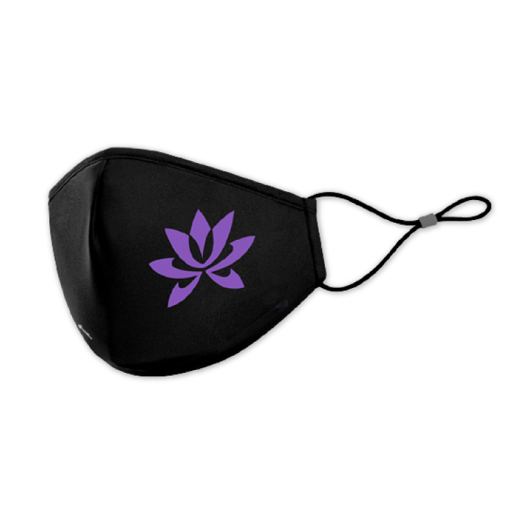 美德醫療X霹靂布袋戲 布口罩 2入─素還真款