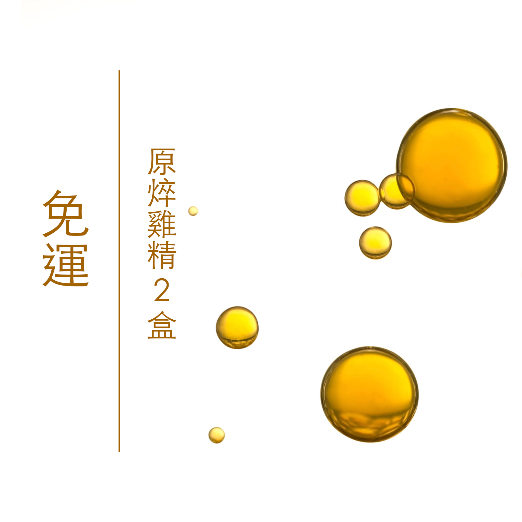 免運!! 大禮記原粹雞精禮盒 10包入x2盒