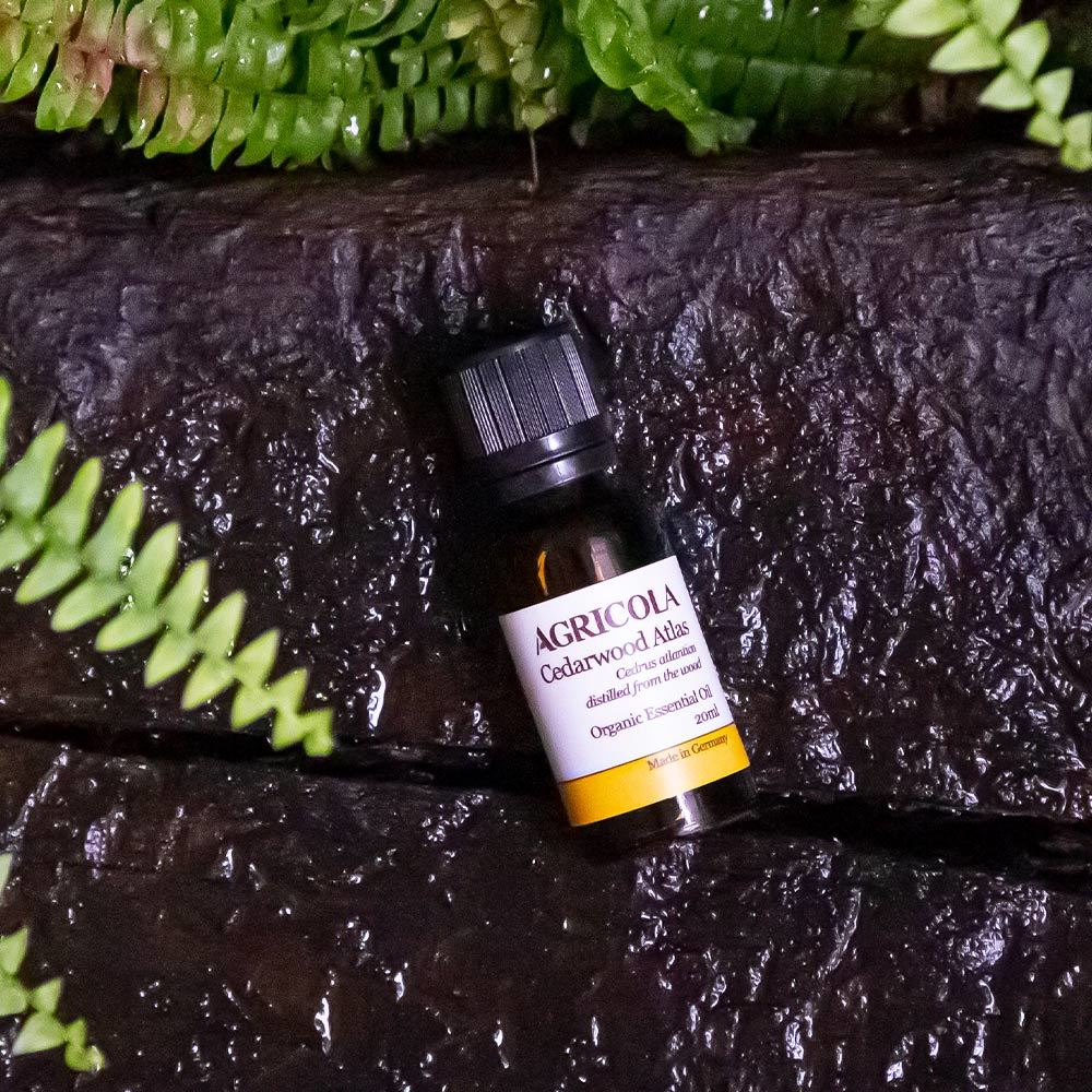 有機大西洋雪松精油-20ml