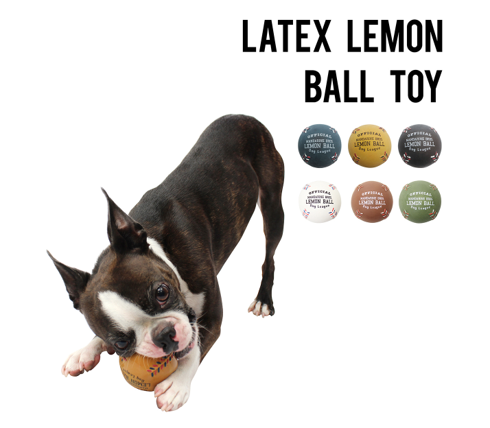 日本Mandarine Brothers 美式棒球玩具