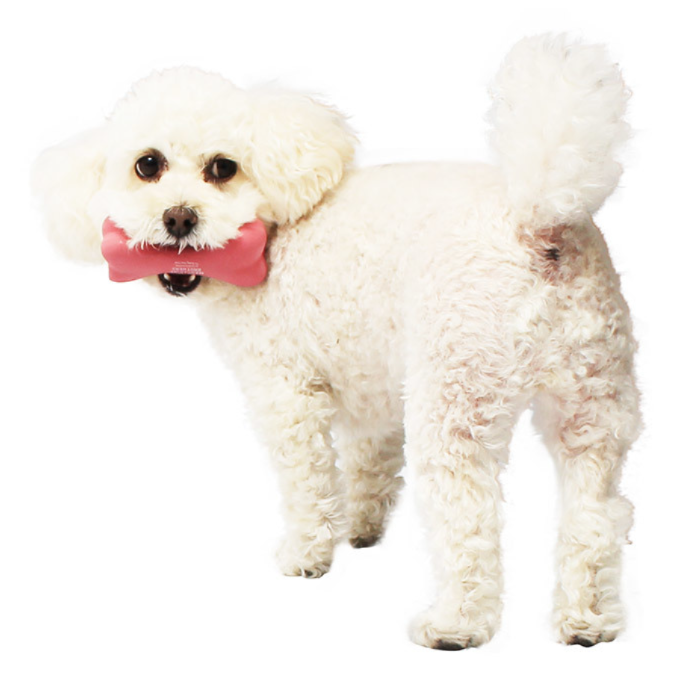 日本Mandarine Brothers 骨頭玩具