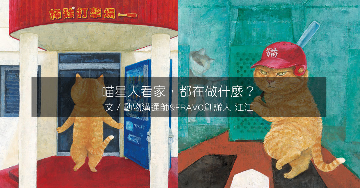 貓咪看家,呼喚我的貓,創造我們的未來