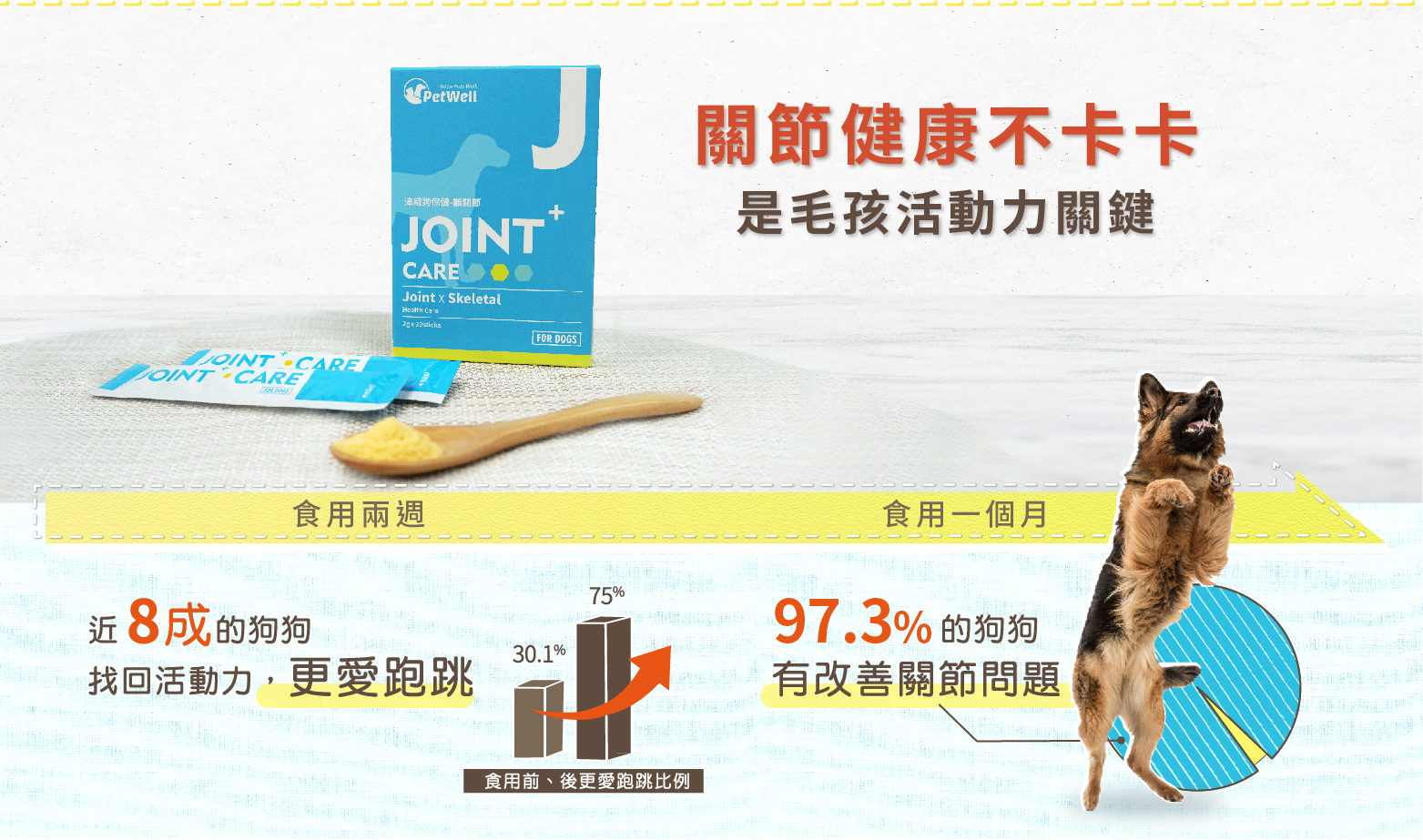 關節健康不卡卡試毛孩活動關鍵力 近8成狗狗找回活動力，更愛跑跳 97.3%的狗狗有改善關節問題