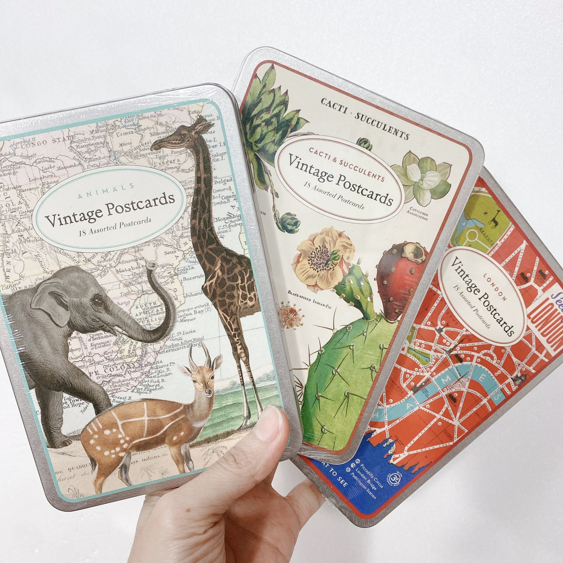 Cavallini & Co. 明信片