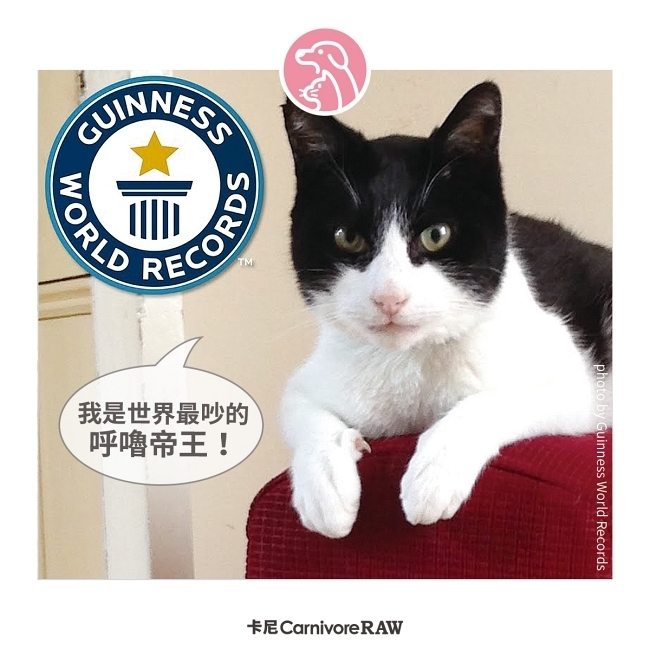 世界最吵的呼嚕帝王