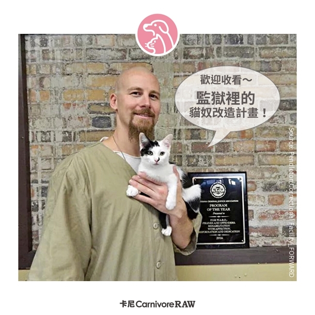 受刑人大哥抱著貓貓