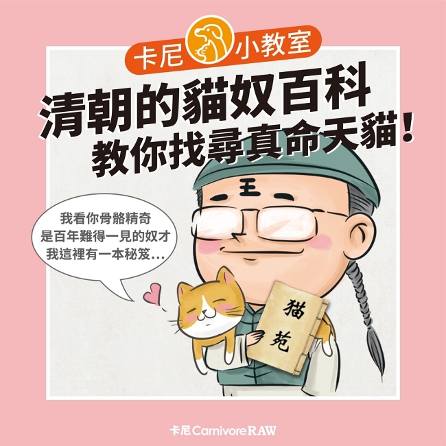 清朝的貓奴百科