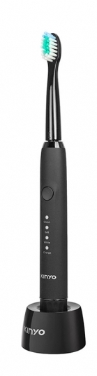 Sonic electric toothbrush