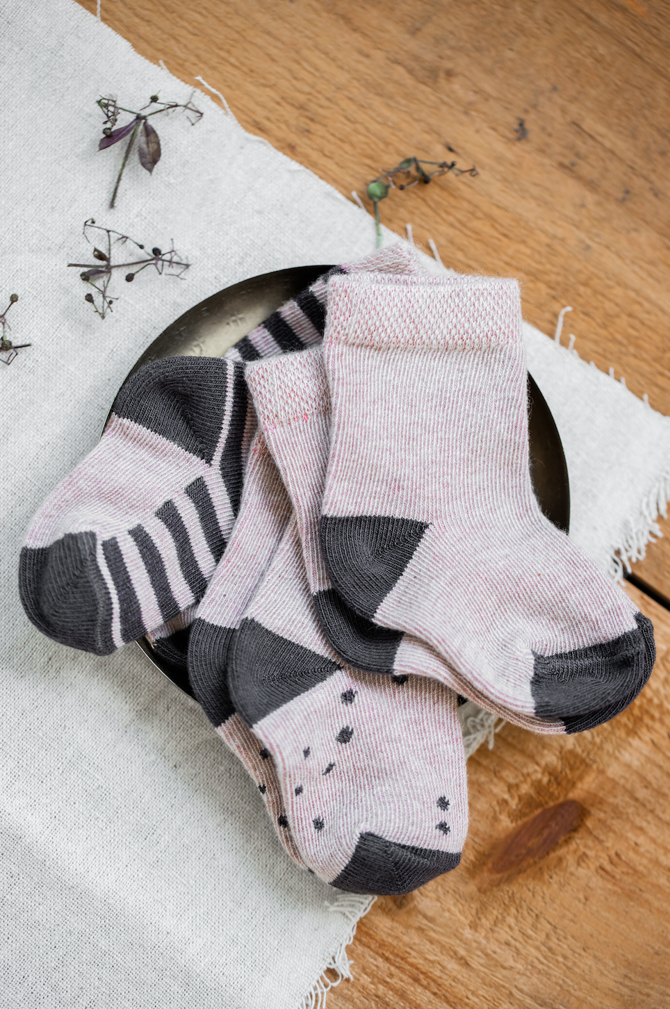 1+ IN THE FAMILY - Aniol（Brandy）