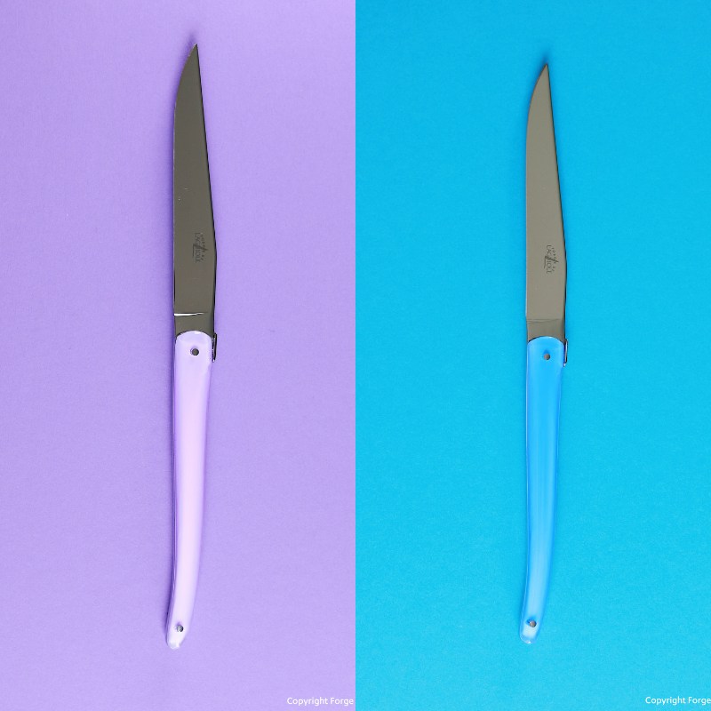 Forge de Laguiole Table knives design Wilmotte grey acrylic