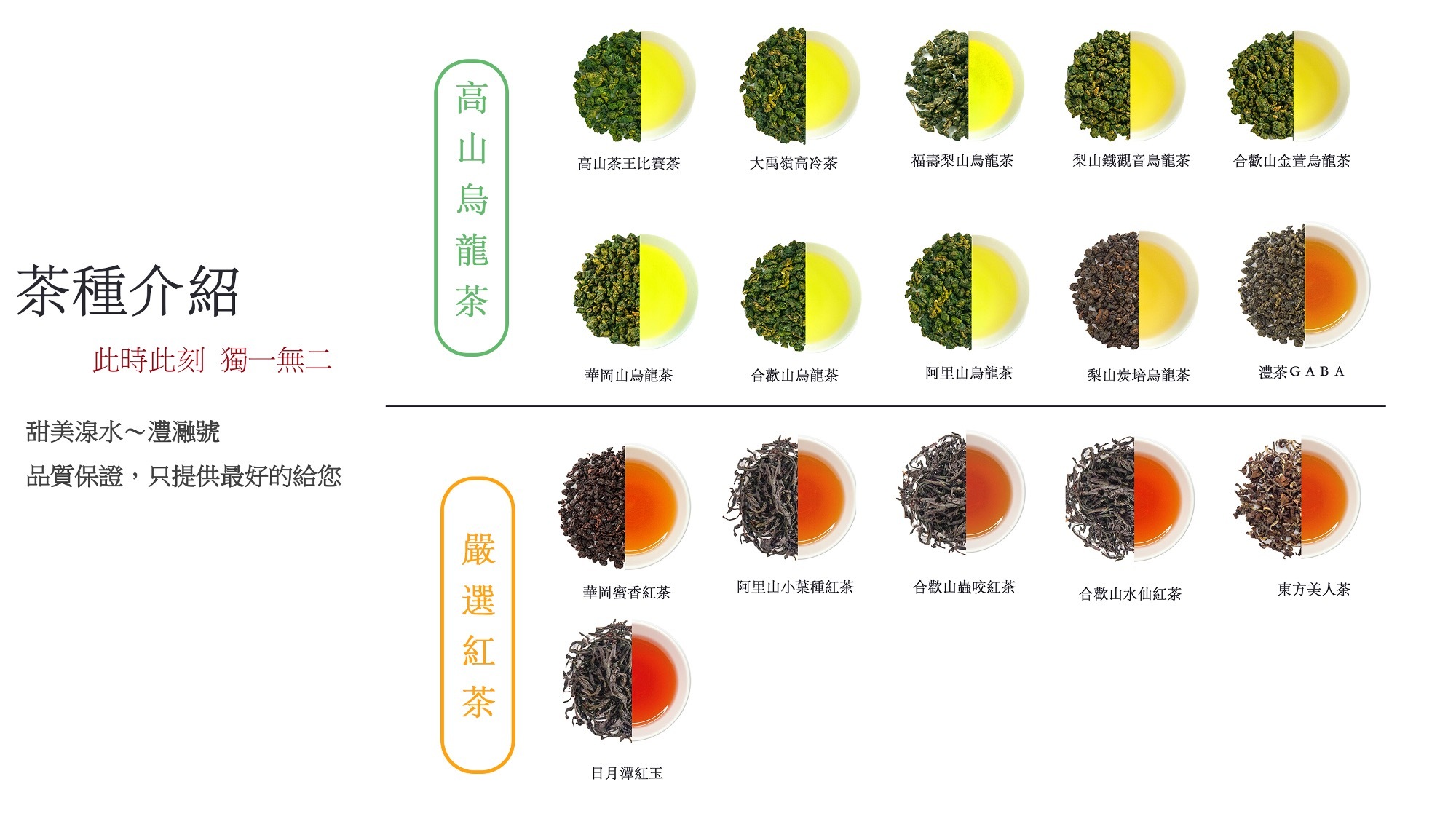茶種介紹