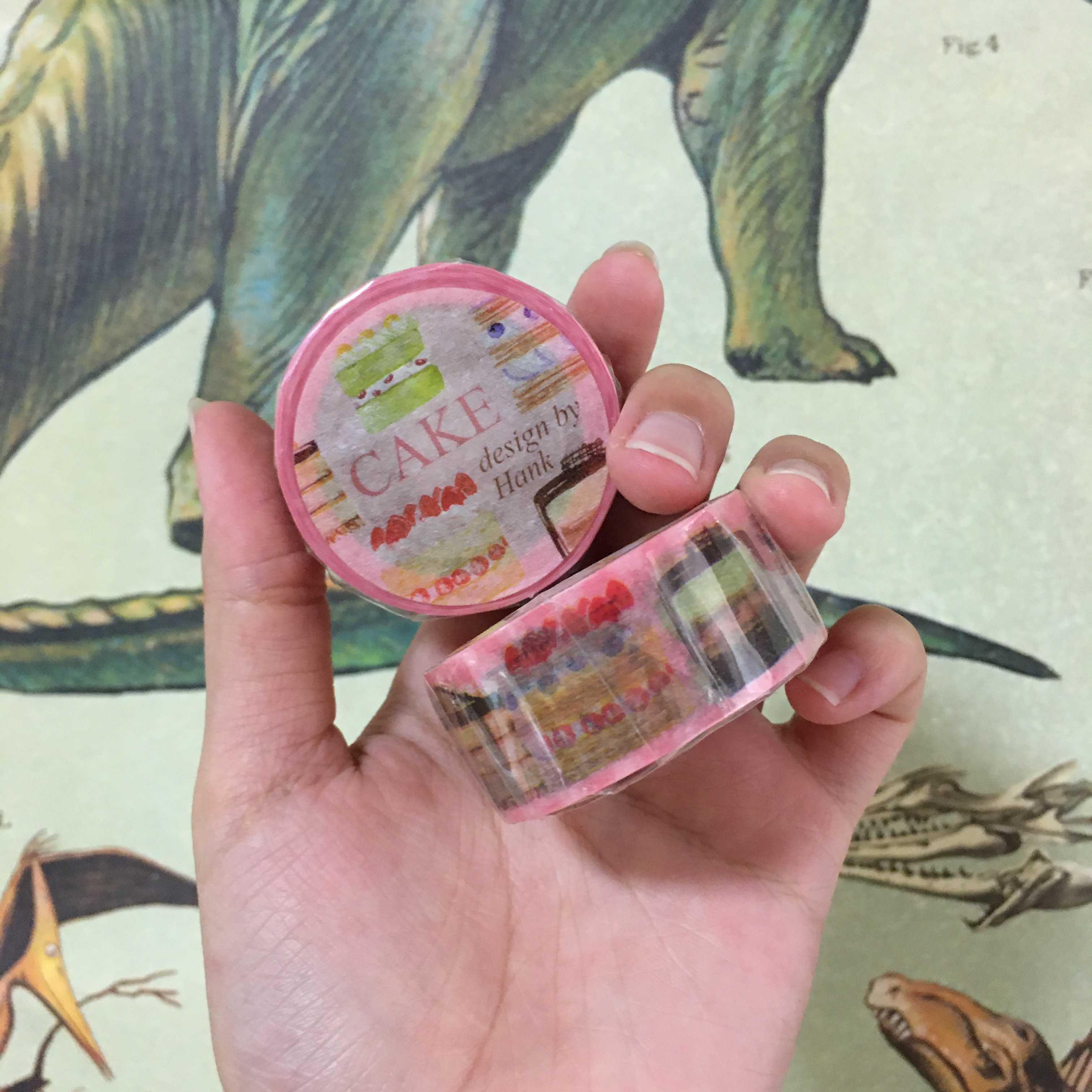 Cake 紙膠帶 | OURS森林好朋友