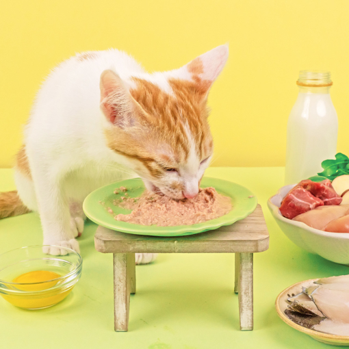 LitoMon - 貓族｜寶寶無膠主食罐 (比目魚) 82G