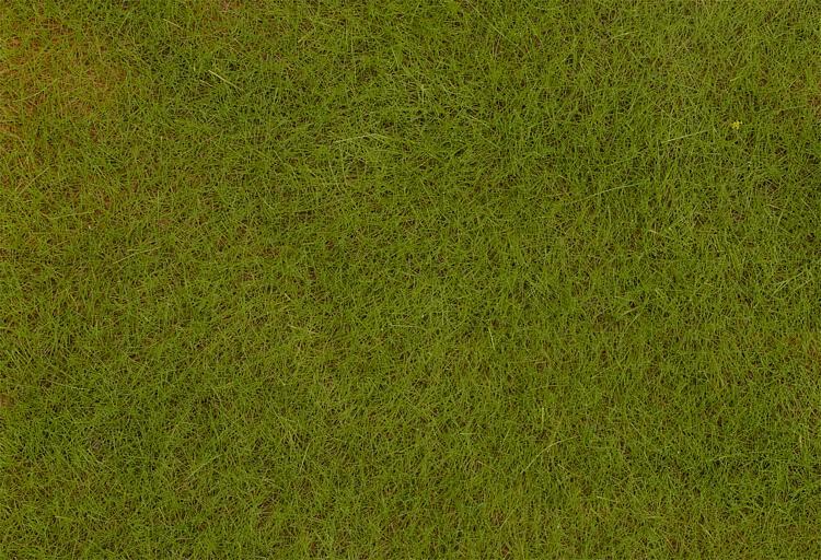 Faller 170772  PREMIUM Ground cover fibres Early Summer Meadow 綠色草纖維 6mm 30g
