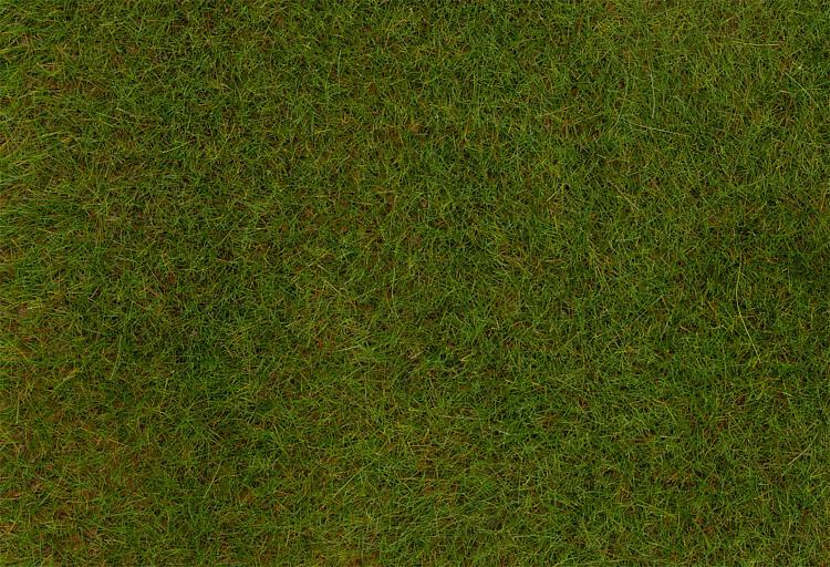 Faller 170771 PREMIUM Ground cover fibres Spring Meadow 青綠草纖維 6mm 30 g