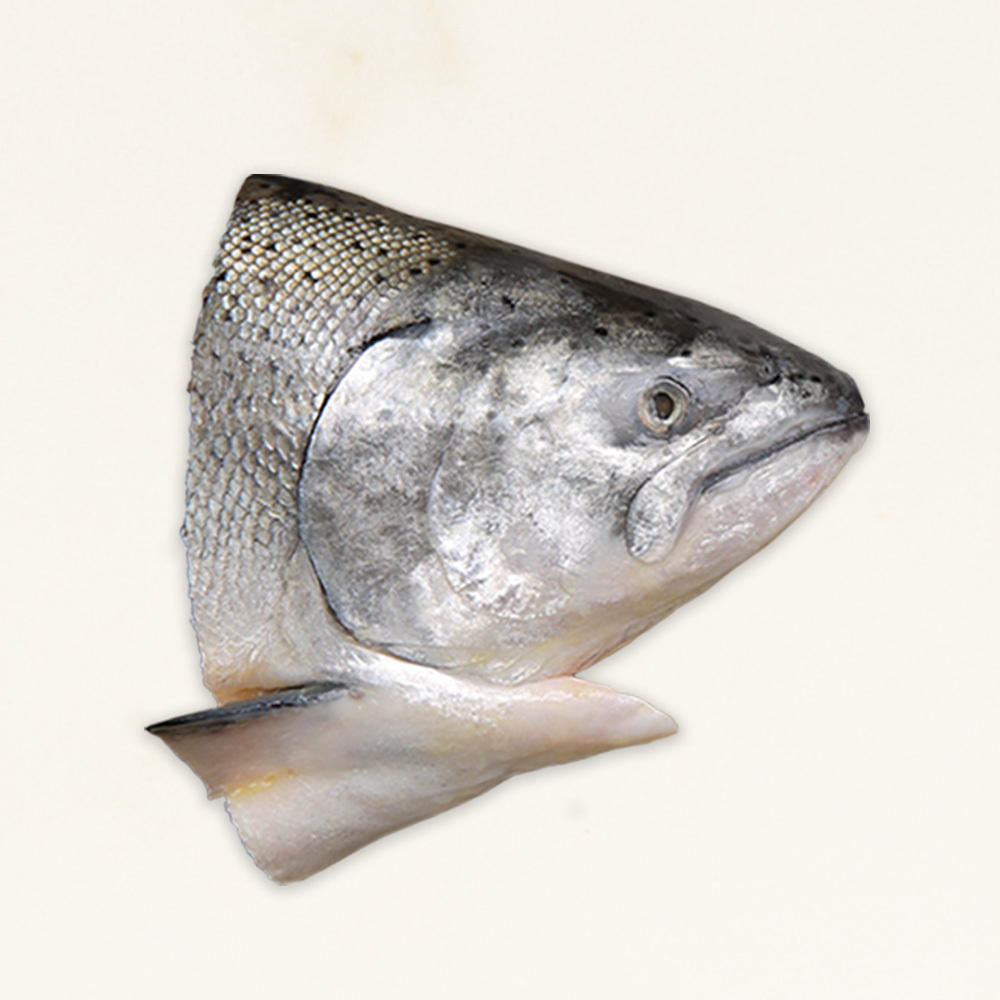 不老鮭鮭魚膠質鮭魚頭 250g