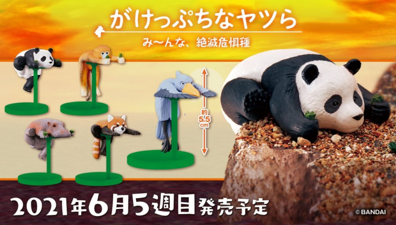 BANDAI 代理版 轉蛋 窮途末路的動物們 全5入