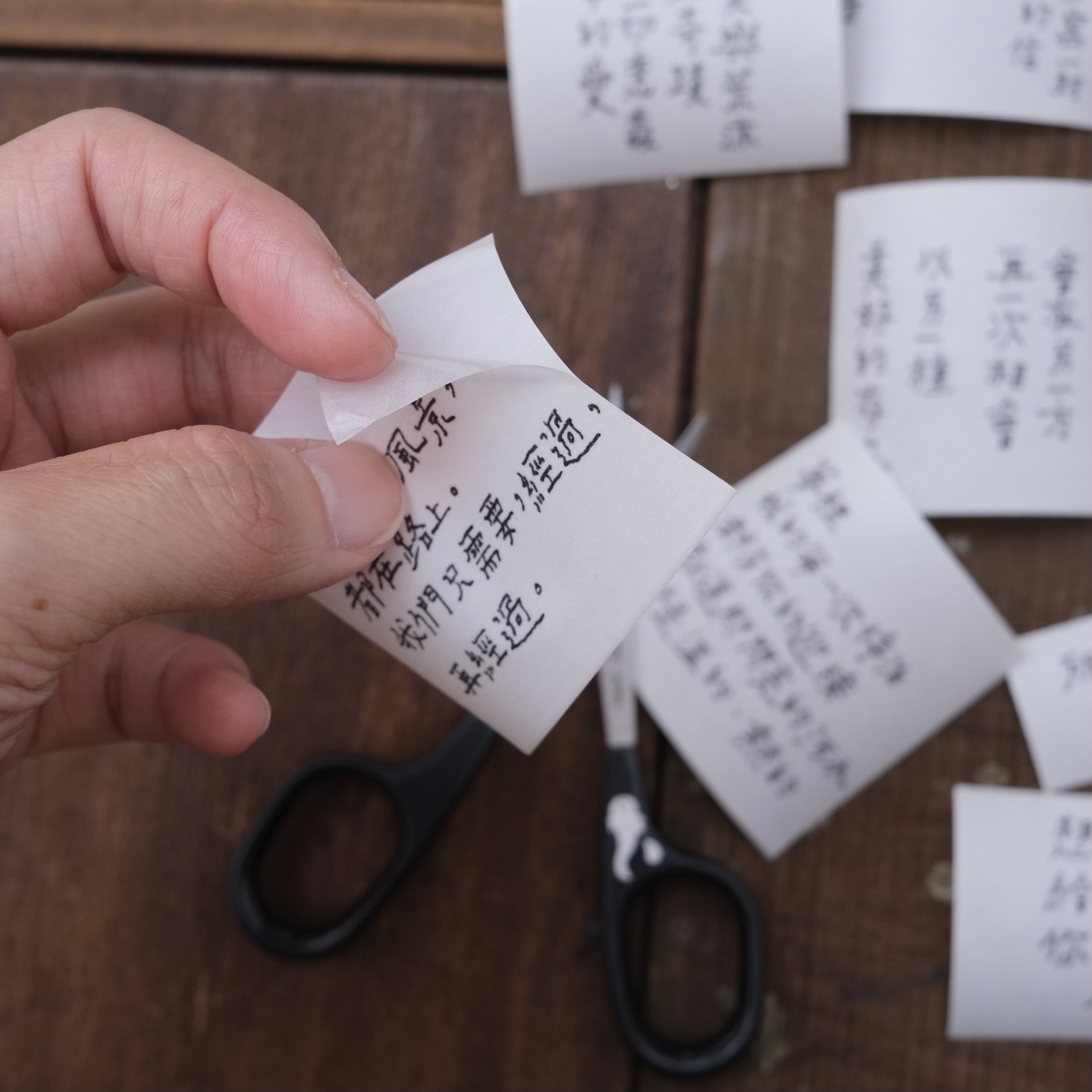 荒涼手記 文字附帶離型紙紙膠帶 青青的島