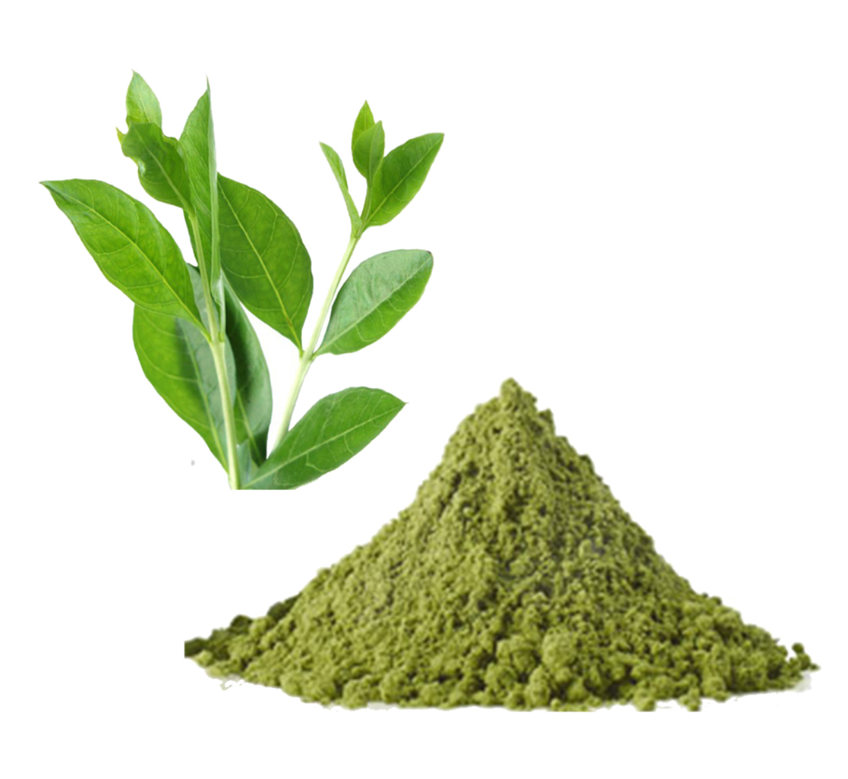 染髮粉 (深啡色)100g