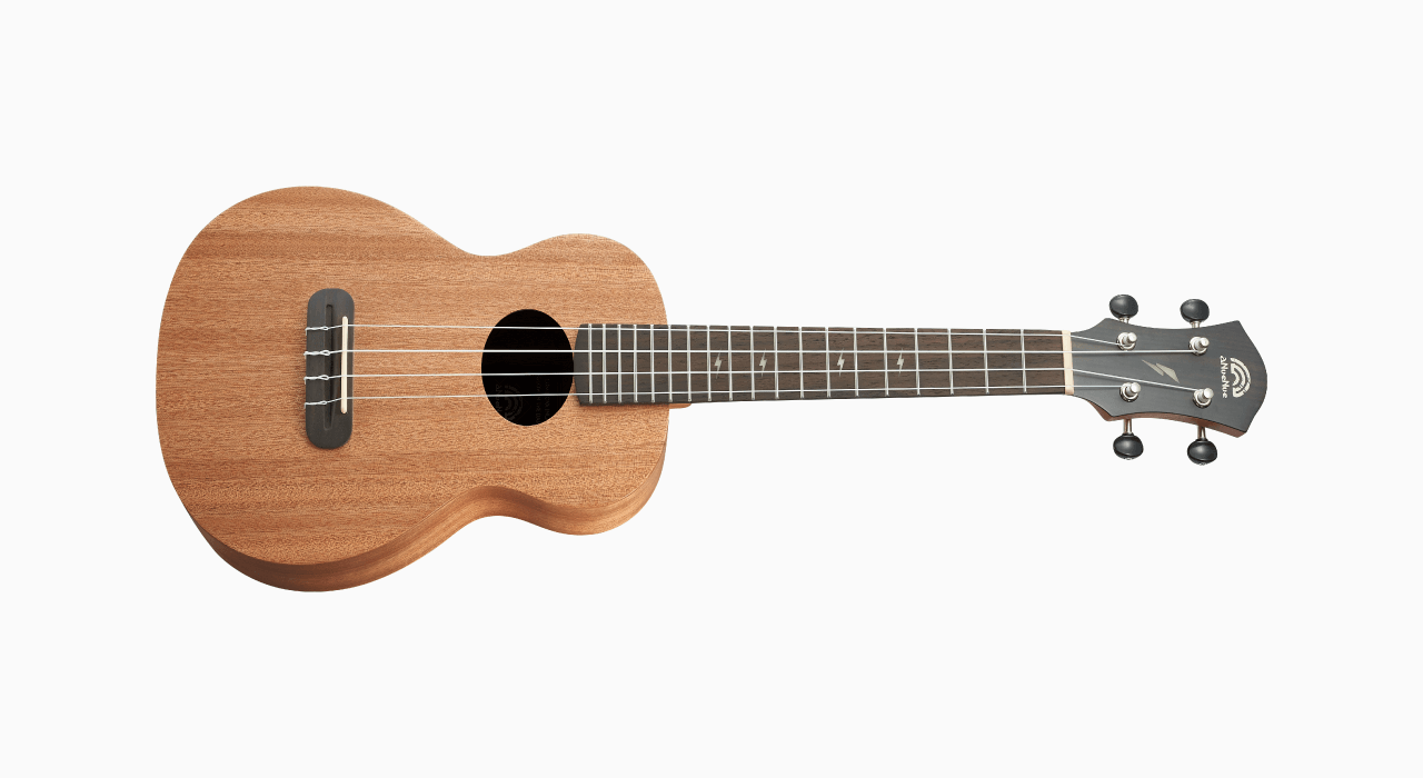 aNueNue TM2 - 23吋桃花心木 『面單』 烏克麗麗