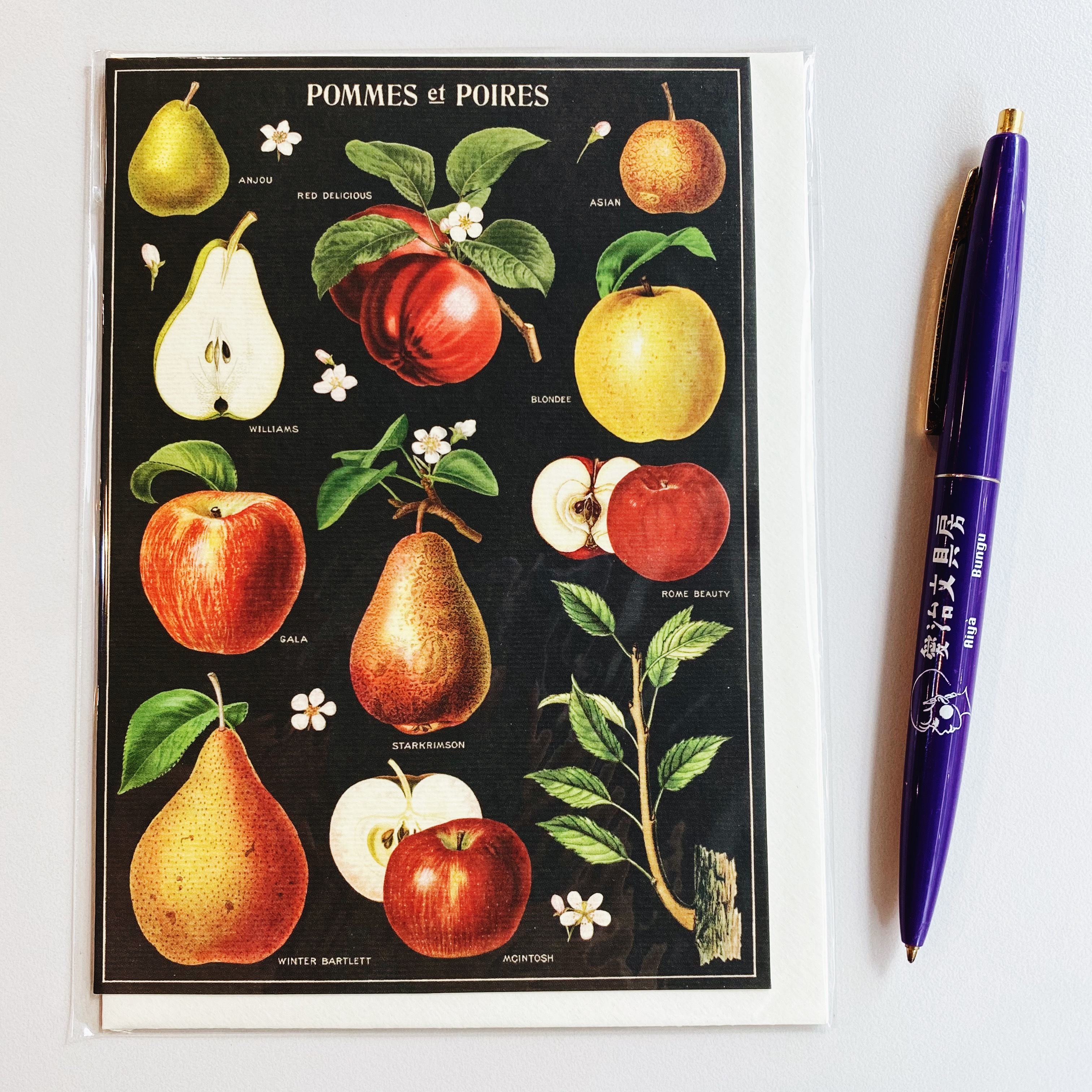 Cavallini 水果 萬用卡片 賀卡