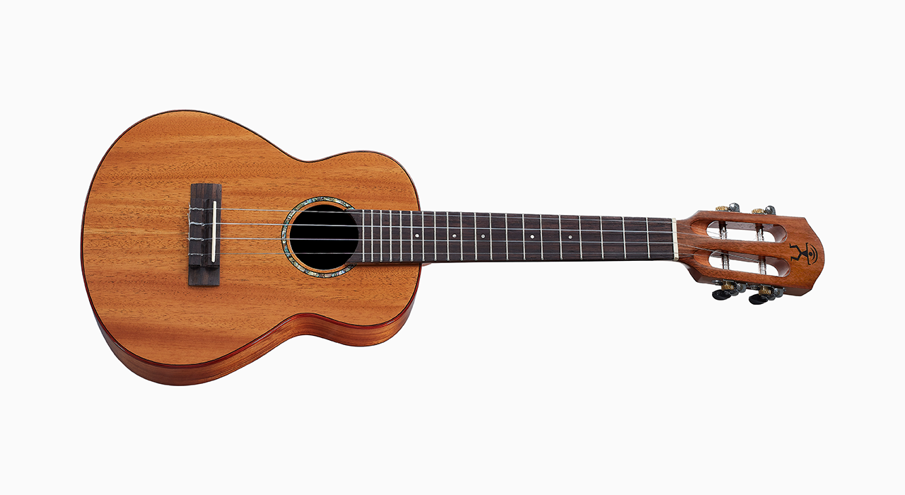 aNueNue AC30 - 23吋桃花心木 烏克麗麗