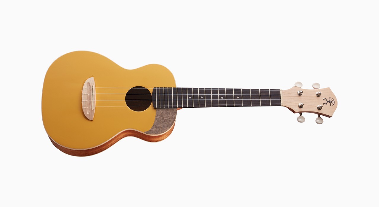 aNueNue UC10-GG 光輝金 - 23吋雲杉木/桃花心木 烏克麗麗