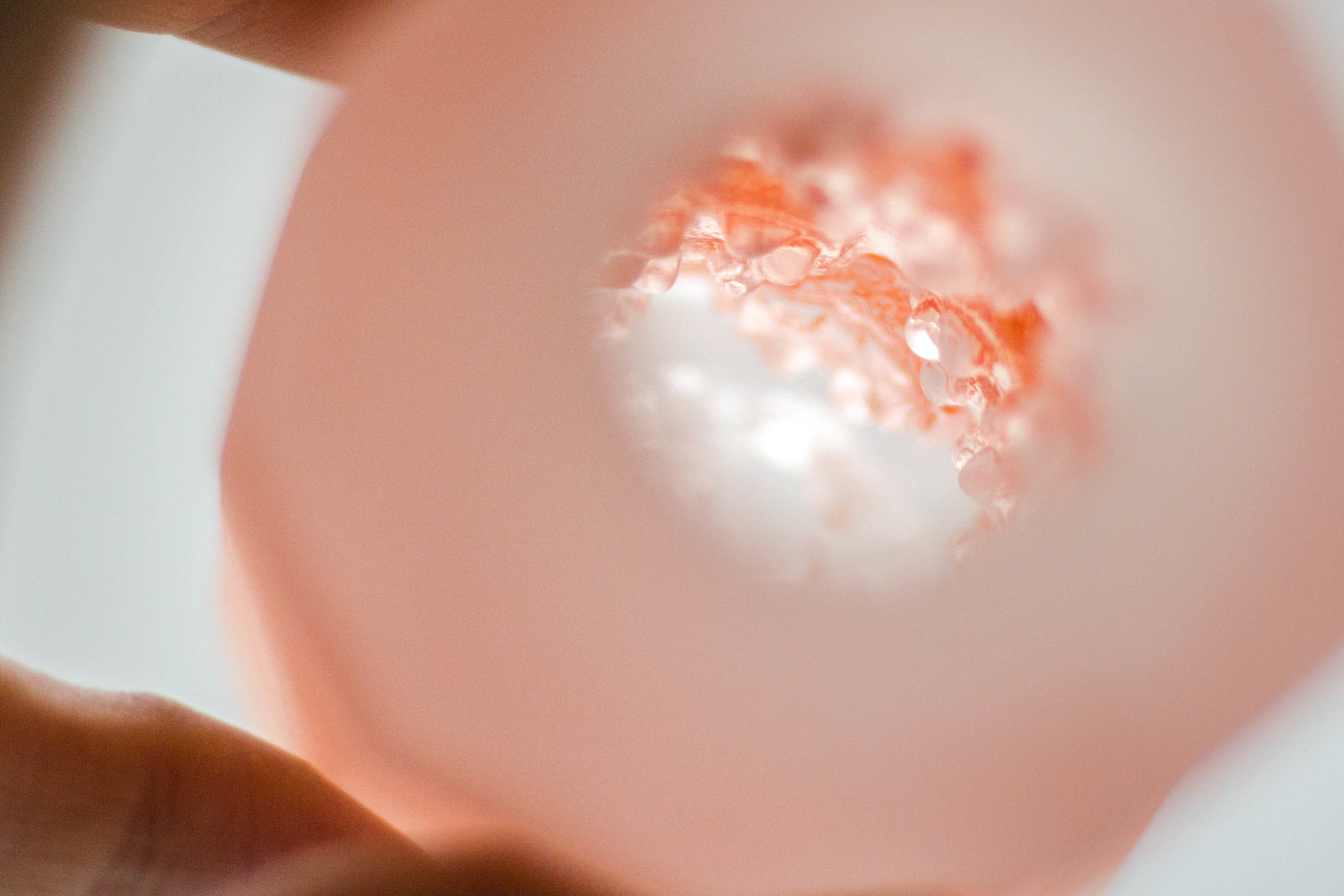 TENGA SPINNER 02六角槍HEXA，飛機杯內部刺激細節展示