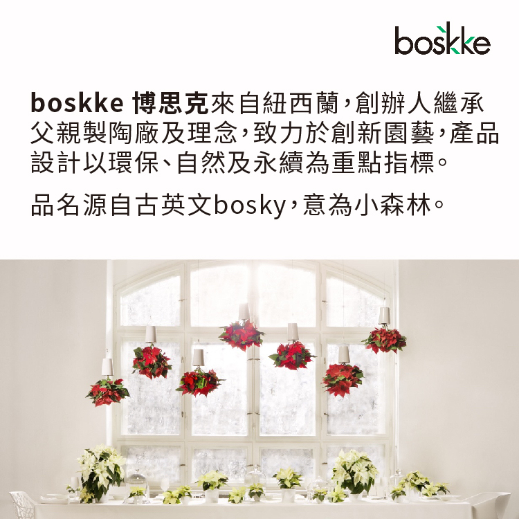 boskke intro