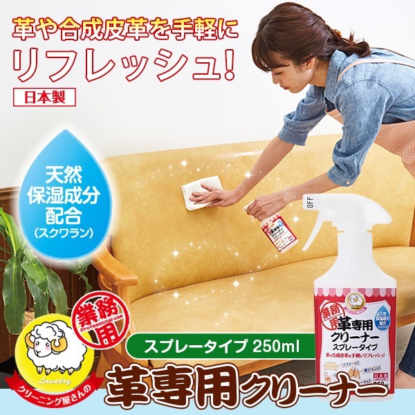 Aimedia 專業皮革用清潔噴霧 250ml