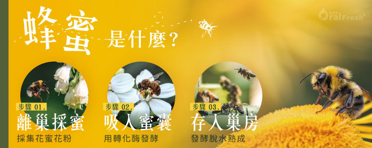 蜜蜂5大產物大剖析 蜂蜜 蜂膠 蜂王乳 蜂蠟 蜂巢功效特色