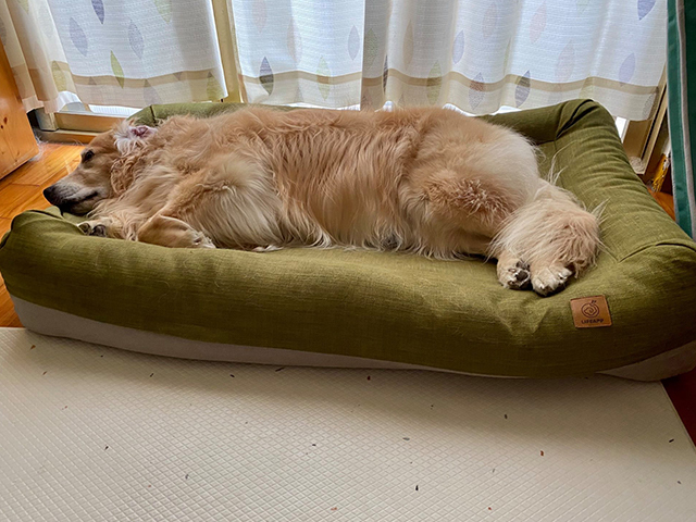 冒險王Charles －愛兒堡