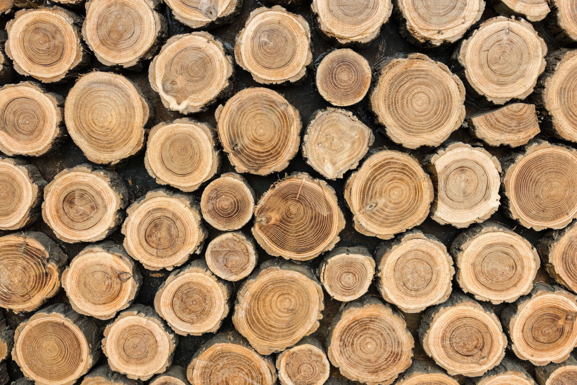 有木, 小木屋, 原木餐桌, 原木家具