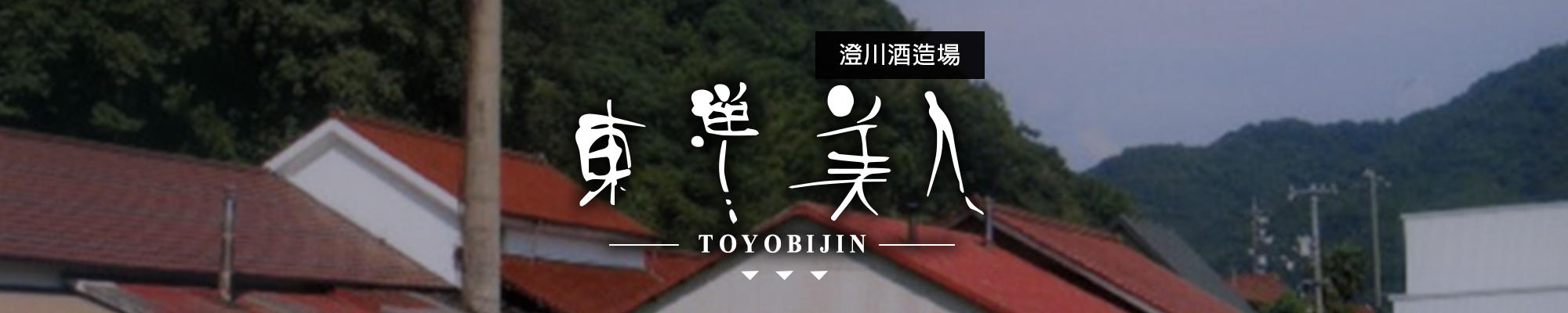 東洋美人TOYOBIJIN|AMALL清酒專門店|SAKE|日本酒|酒