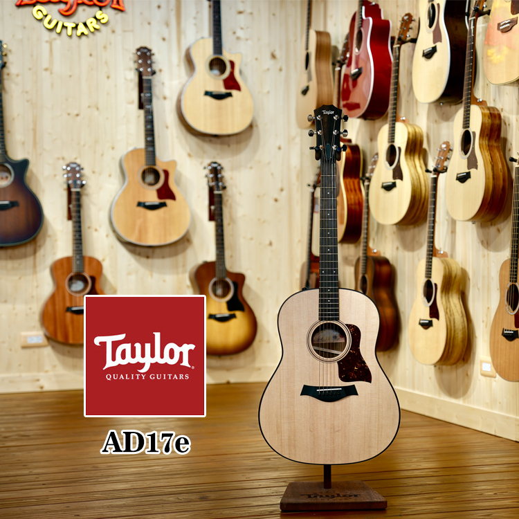 Taylor AD17e 電木吉他 ovangkol 美廠 全單板