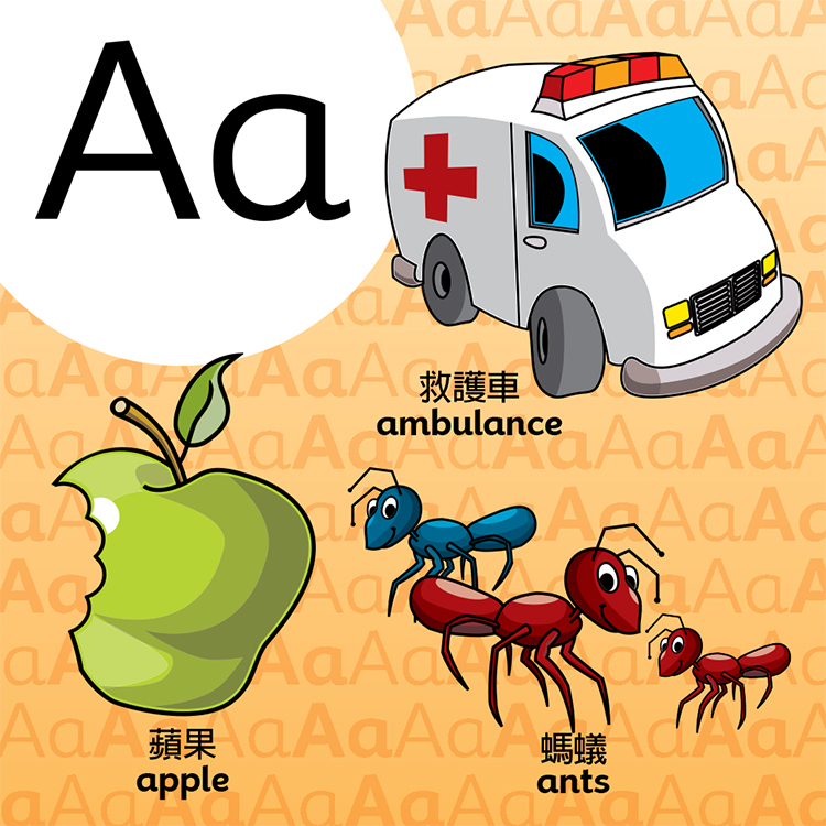 Brain box - ABC 大腦益智盒 - 字母遊戲  (中英雙語版)