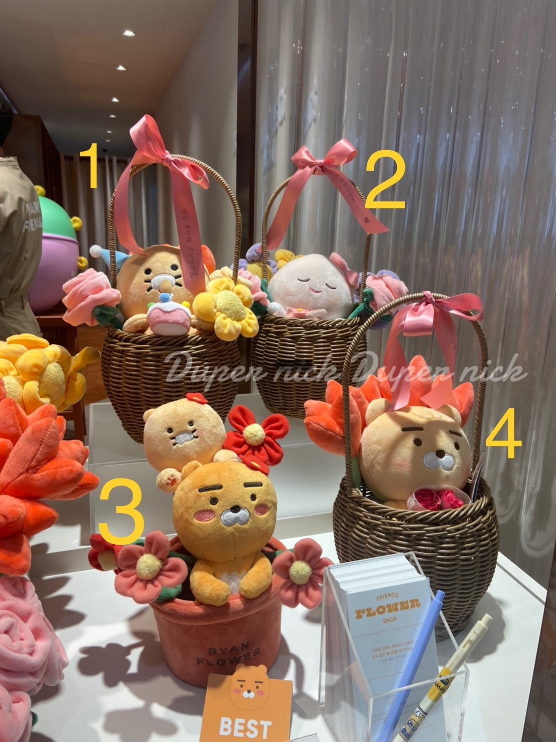 現貨 韓國 Kakao friends 萊恩 ryan 盆栽 花籃 花束 RYAN 春植 桃子