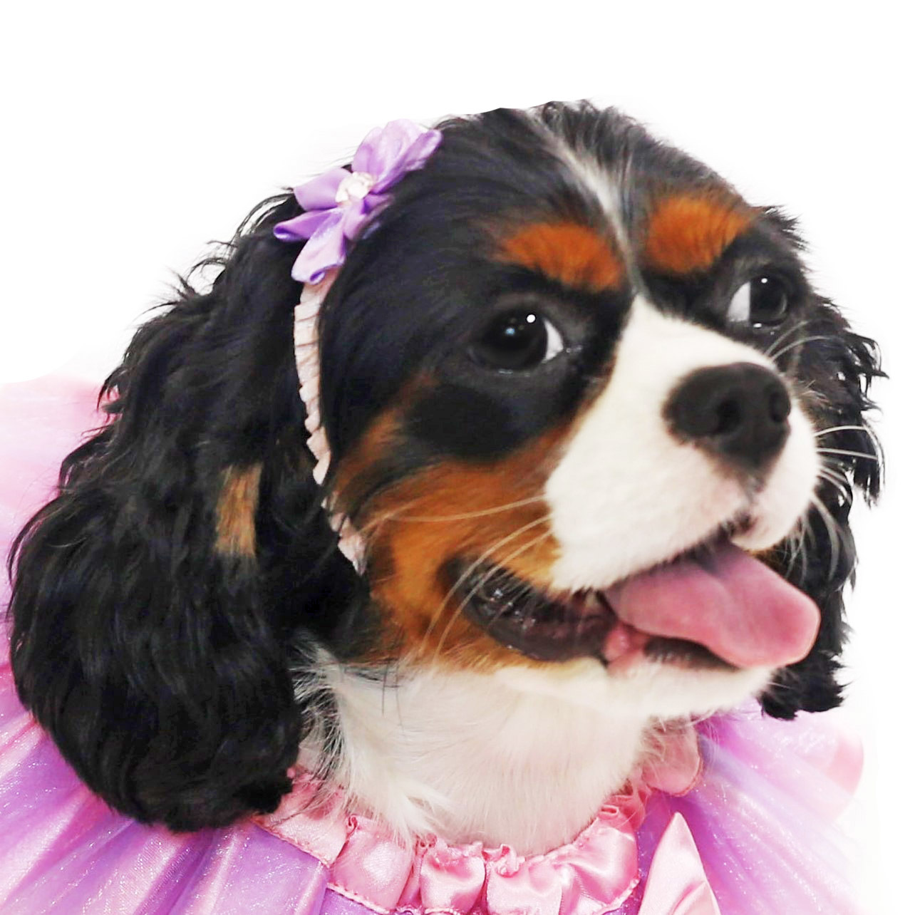 Purple Princess Headband