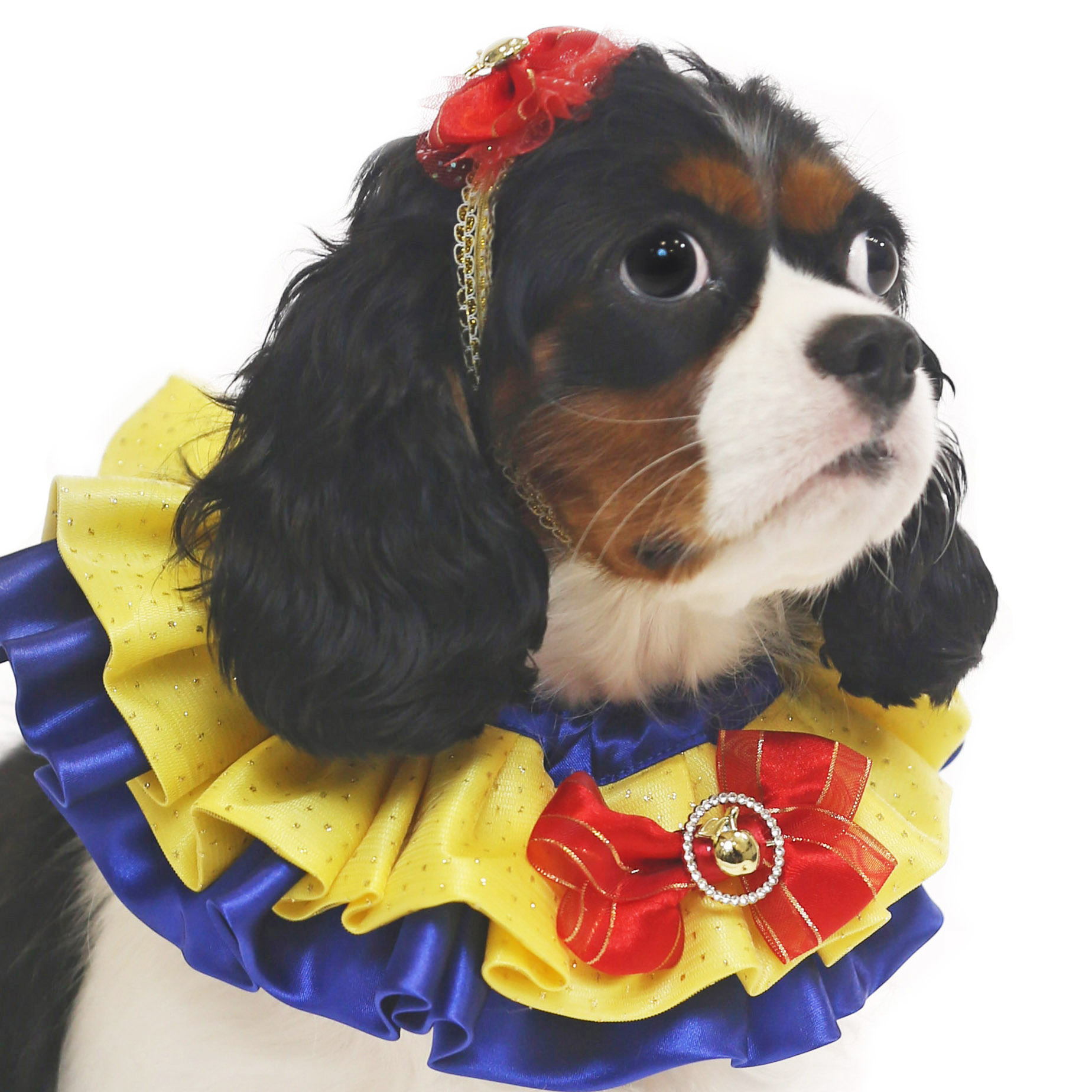 Apple Princess Collar (excluded Headband)