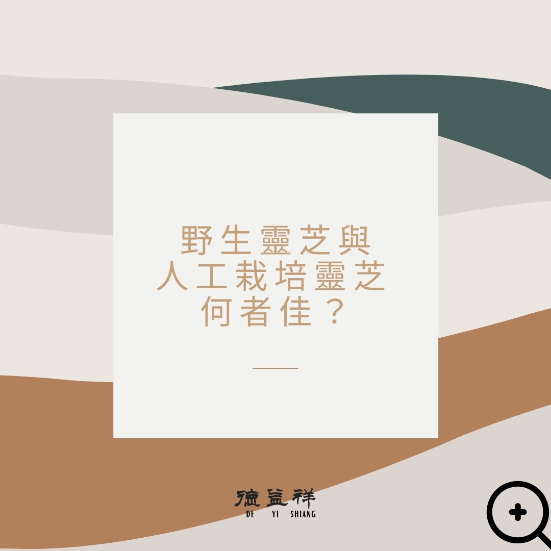 野生靈芝和人工栽種的靈芝哪種比較好