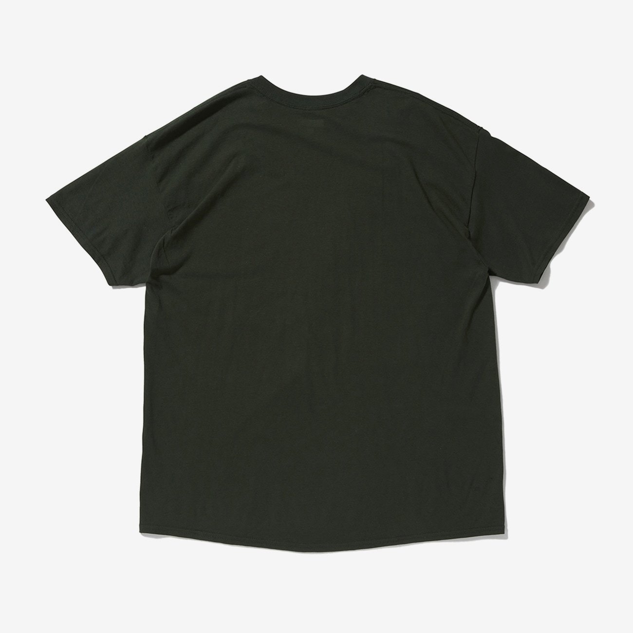 [現貨] DESCENDANT Team Tee "Green"