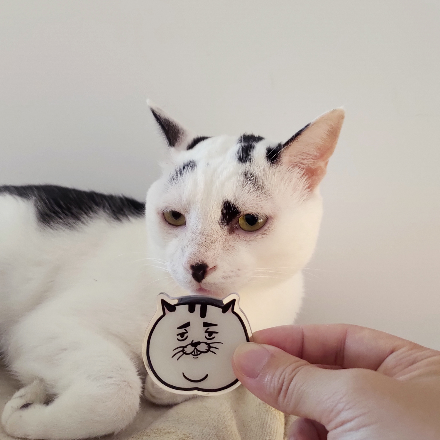 【ehcat貓室友】貓室友氣墊手機支架