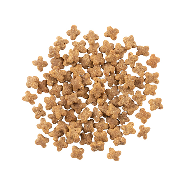 NOW - 鮮肉無穀小型成犬糧