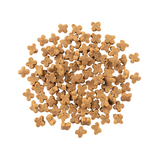 NOW - 鮮魚無穀小型成犬糧3.5b