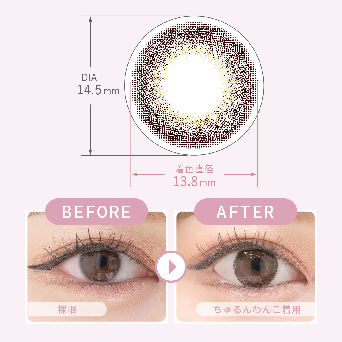 MieQaM 1 day Contact Lenses 每日即棄有色隱形眼鏡 10片 Churun Wanko